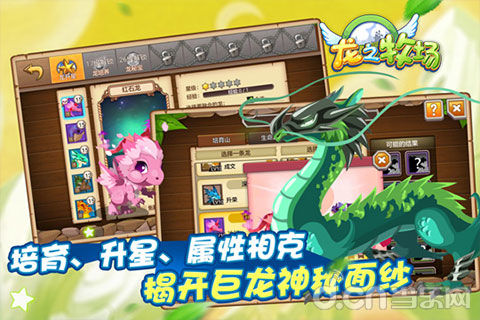 育龙高手