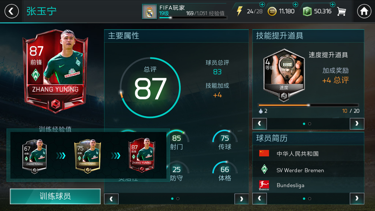 FIFA足球世界